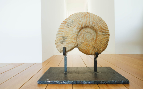 Unique sculptures decorates inside and outside 